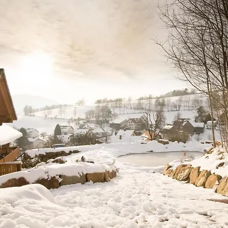 Blockbohlen Holzhaus Mit Sauna, Outdoor Jacuzzi Und Badeteich * Gersfeld