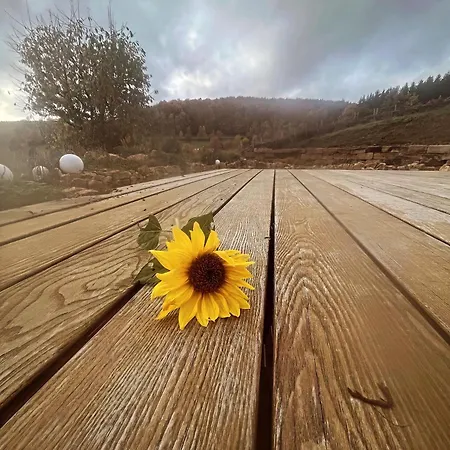 Blockbohlen Holzhaus Mit Sauna, Outdoor Jacuzzi Und Badeteich Διαμέρισμα *