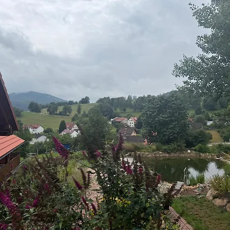 Blockbohlen Holzhaus Mit Sauna, Outdoor Jacuzzi Und Badeteich * Gersfeld