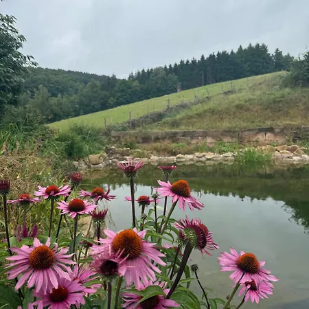Blockbohlen Holzhaus Mit Sauna, Outdoor Jacuzzi Und Badeteich Gersfeld