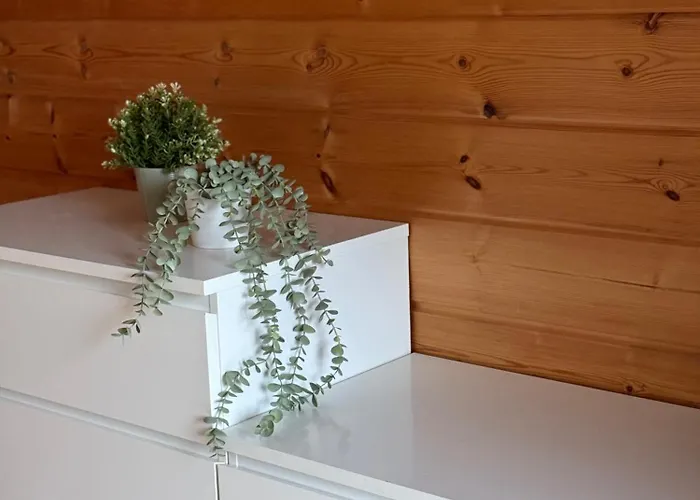 Blockbohlen Holzhaus Mit Sauna, Outdoor Jacuzzi Und Badeteich