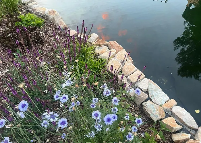 Апартаменты Blockbohlen Holzhaus Mit Sauna, Outdoor Jacuzzi Und Badeteich