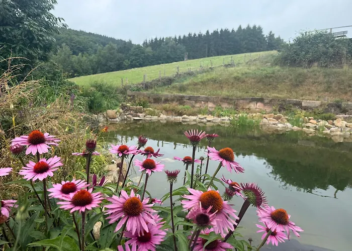 Апартаменты Blockbohlen Holzhaus Mit Sauna, Outdoor Jacuzzi Und Badeteich *