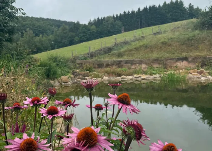 Blockbohlen Holzhaus Mit Sauna, Outdoor Jacuzzi Und Badeteich Герсфельд